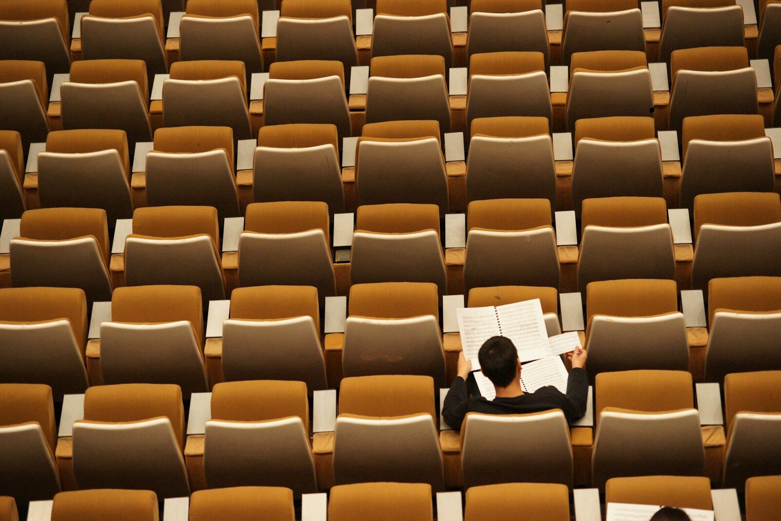 person reading in empty lecture hall