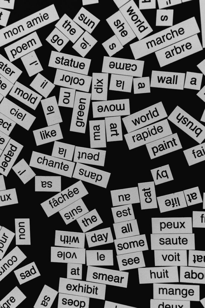 Scattered paper rectangles with printed English and French words on a black background